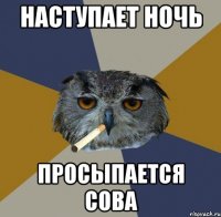 наступает ночь просыпается сова
