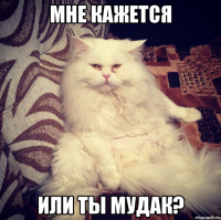 Мне кажется Или ты мудак?