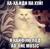 ХА-ХА,ИДИ НА ХУЙ! Я КАЙФУЮ ПОД AD-ONE MUSIC