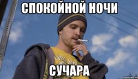 Спокойной ночи Сучара