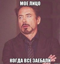 Мое лицо когда все заебали