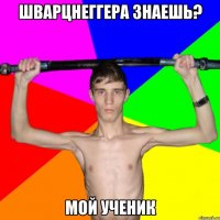 Шварцнеггера знаешь? Мой ученик