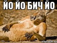 йо йо бич йо 