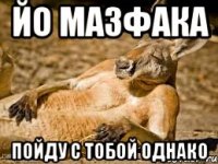 йо мазфака пойду с тобой однако