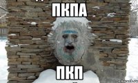 пкпа пкп