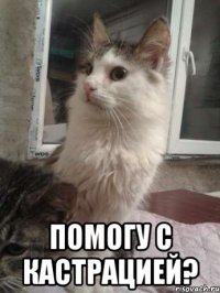  помогу с кастрацией?