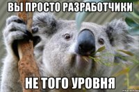 Вы просто разработчики не того уровня