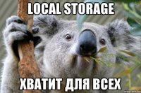 Local storage хватит для всех