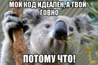 Мой код идеален, а твой - говно Потому что!