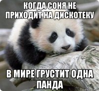 Когда Соня не приходит на дискотеку в мире грустит одна панда