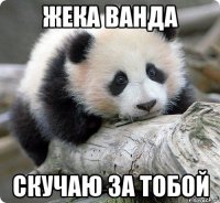 Жека Ванда скучаю за тобой