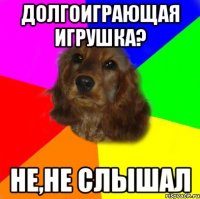долгоиграющая игрушка? не,не слышал