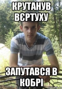 Крутанув вєртуху запутався в кобрі