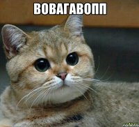вовагавопп 