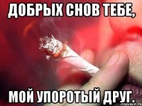 Добрых снов тебе, Мой упоротый друг.