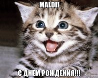 Maldi! С ДНЕМ РОЖДЕНИЯ!!!