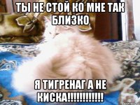 ТЫ НЕ СТОЙ КО МНЕ ТАК БЛИЗКО Я ТИГРЕНАГ А НЕ КИСКА!!!!!!!!!!!!
