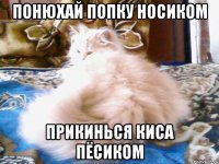 ПОНЮХАЙ ПОПКУ НОСИКОМ ПРИКИНЬСЯ КИСА ПЁСИКОМ