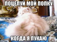ПОЦЕЛУЙ МОЙ ПОПКУ КОГДА Я ПУКАЮ