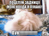 ПОЦЕЛУЙ ЗАДНИЦУ МОЮ,КОГДА Я ПУКАЮ! ПУК!!!!!!!!!!!!!!