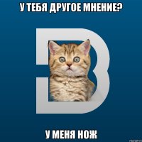 У тебя другое мнение? У меня нож