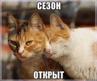 сезон открыт