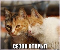  сезон открыт