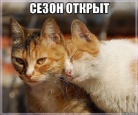 сезон открыт 