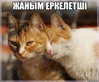 Жаным еркелетші 