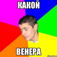 Какой Венера