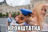  кронштатка