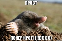 ПРОСТ ПОНЕР КРОТ11!!!))))))))