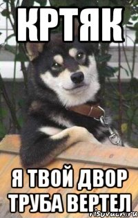 кртяк я твой двор труба вертел