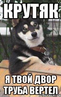 крутяк я твой двор труба вертел