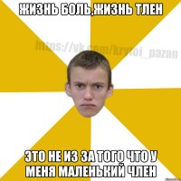 Жизнь боль,жизнь тлен это не из за того что у меня маленький член
