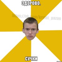 Здорово, сучки