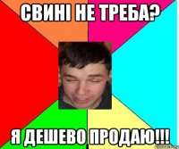 Свині не треба? я дешево продаю!!!