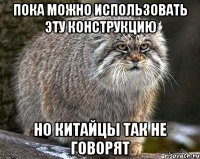 Пока можно использовать эту конструкцию Но китайцы так не говорят