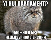 Yi hui парламент? Можно и без нецензурной лексики