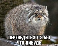  Переведите хотя бы что-нибудь