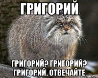 Григорий Григорий? Григорий? Григорий, отвечайте