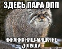 ЗДЕСЬ ПАРА ОПП НИКАКИХ НЯШ-МЯШ Я НЕ ДОПУЩУ