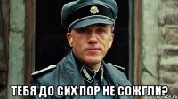  тебя до сих пор не сожгли?