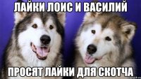 ЛАЙКИ ЛОИС И ВАСИЛИЙ ПРОСЯТ ЛАЙКИ ДЛЯ СКОТЧА