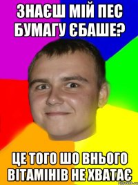 Знаєш мій пес бумагу єбаше? це того шо внього вітамінів не хватає