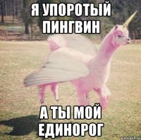 Я упоротый пингвин А ты мой единорог