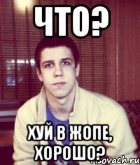 Что? Хуй в жопе, хорошо?