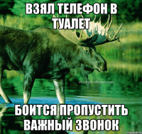 Взял телефон в туалет боится пропустить важный звонок