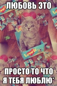 Любовь это Просто то что я тебя ЛЮБЛЮ*