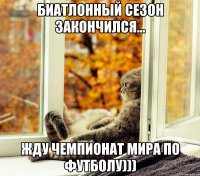 Биатлонный сезон закончился... Жду Чемпионат мира по футболу)))